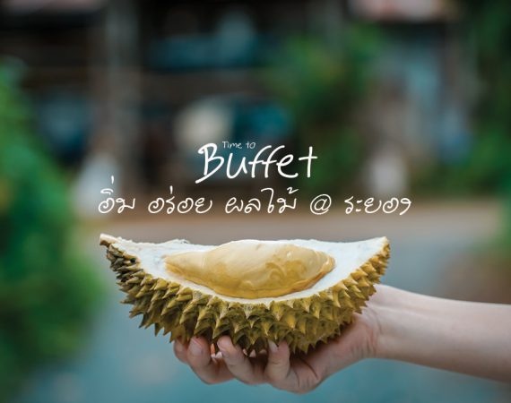 เพลิดเพลินอิ่มอร่อย บุฟเฟ่ต์ผลไม้ 2562 @ ระยอง