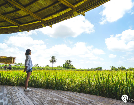 สโลวไลฟ์ 1 วัน "นครปฐม" ชิลธรรมชาติ กินลม ชมบรรยากาศ