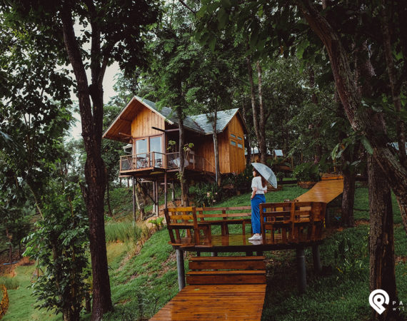 ธรรมชาติบำบัดใจ พักผ่อนที่บ้านต้นไม้ "ไร่ต้นรัก" จังหวัดน่าน