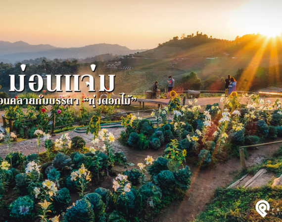 เที่ยวชมวิว ชิลบรรยากาศ เพลินกับทุ่งดอกไม้ ณ "ม่อนแจ่ม"