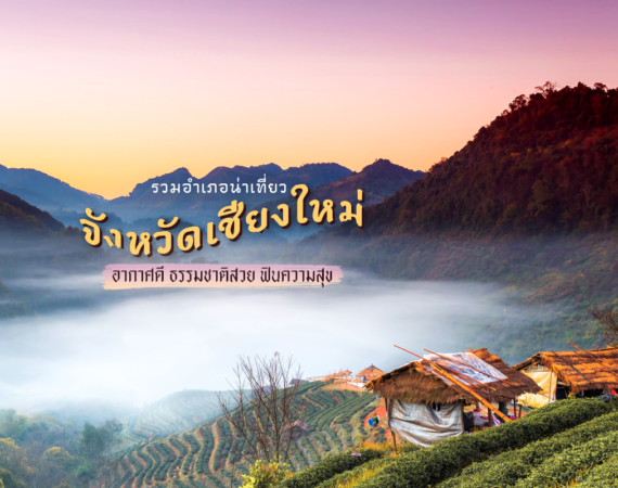 รวมอำเภอน่าเที่ยว "จังหวัดเชียงใหม่" อากาศดี ธรรมชาติสวย ฟินความสุข