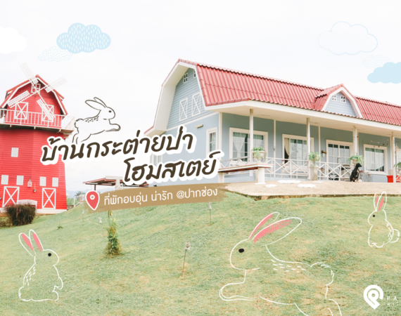 พาไปพัก "บ้านกระต่ายป่าโฮมสเตย์" ที่พักอบอุ่น น่ารัก @ปากช่อง