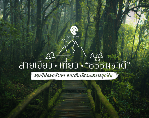 5 ร้านเด็ด กรุงเทพฯ – ปริมณฑล ต้องไปโดนสักครั้งในชีวิต