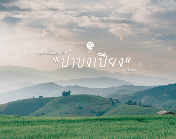 หยุดเวลาไปกับธรรมชาติ และความเงียบสงบไว้ที่ "ป่าบงเปียง"