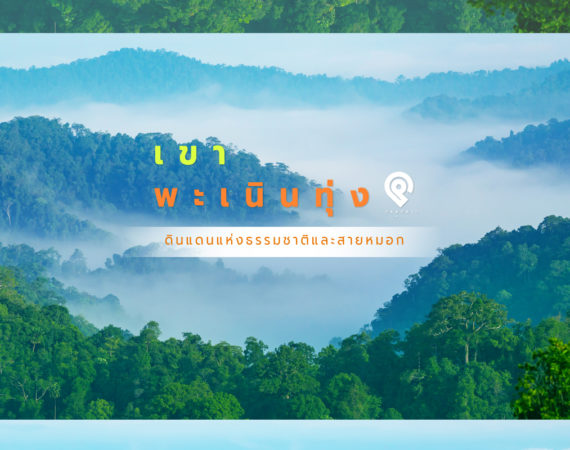 “เขาพะเนินทุ่ง” ดินแห่งธรรมชาติและสายหมอก