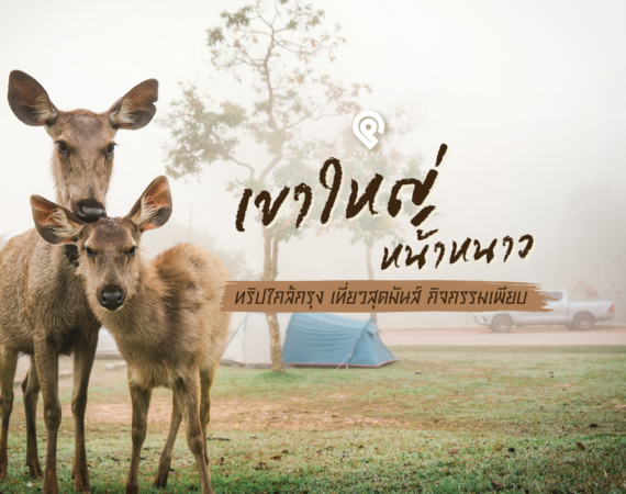 เขาใหญ่หน้าหนาว ทริปใกล้กรุง เที่ยวสุดมันส์ กิจกรรมเพียบ