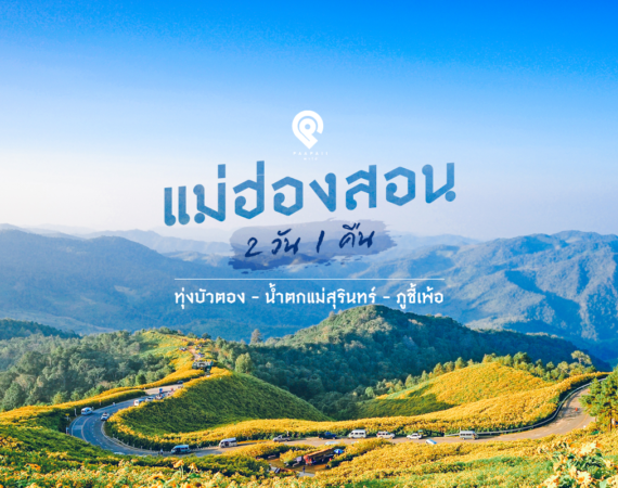 แม่ฮ่องสอน 2 วัน 1 คืน ทุ่งบัวตอง - น้ำตกแม่สุรินทร์ - ภูชี้เพ้อ