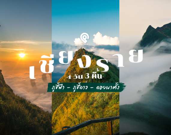 “เชียงราย” 4 วัน 3 คืน ภูชี้ฟ้า - ภูชี้ดาว - ดอยผาตั้ง
