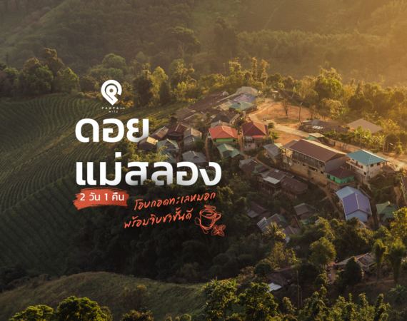 “ดอยแม่สลอง” 2 วัน 1 คืน โอบกอดทะเลหมอก พร้อมจิบชาชั้นดี