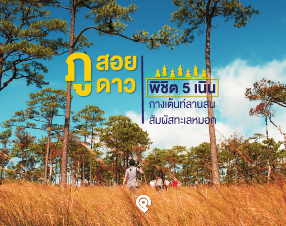 “ภูสอยดาว” พิชิต 5 เนิน กางเต็นท์ลานสน สัมผัสทะเลหมอก