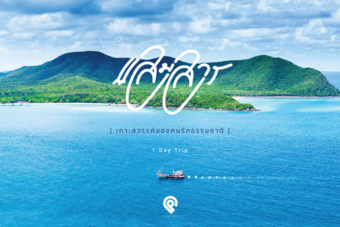 One Day Trip “แสมสาร” เกาะสวรรค์ของคนรักธรรมชาติ
