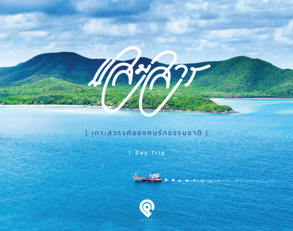 One Day Trip “แสมสาร” เกาะสวรรค์ของคนรักธรรมชาติ