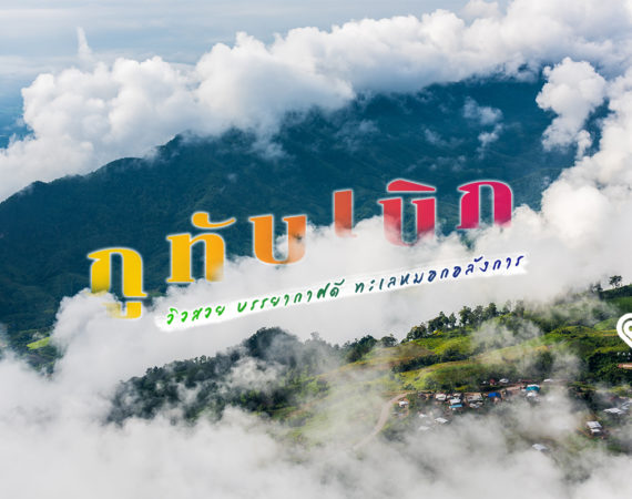 “ภูทับเบิก” วิวสวย บรรยากาศดี ทะเลหมอกอลังการ