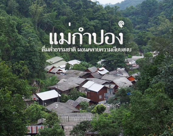 ธรรมชาติ สายหมอก ความเงียบสงบ ณ "บ้านแม่กำปอง"