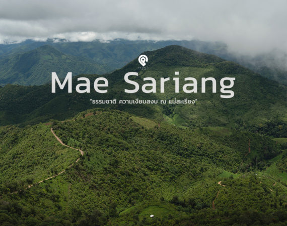 ธรรมชาติ ความเงียบสงบที่ลงตัว ณ แม่สะเรียง