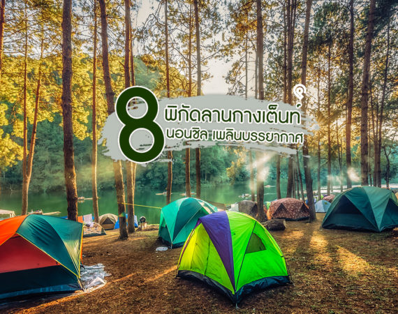 8 ลานกางเต็นท์ นอนรับลมหนาว เพลินบรรยากาศ