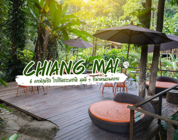 พาไป 6 คาเฟ่สุดชิลธรรมชาติ @ เชียงใหม่