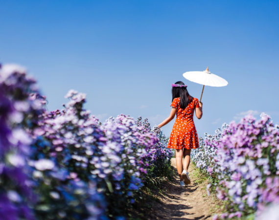 30 ที่เที่ยวเชียงใหม่ดีต่อใจ ไปเที่ยวตอนไหนก็ไงยังฟิน!